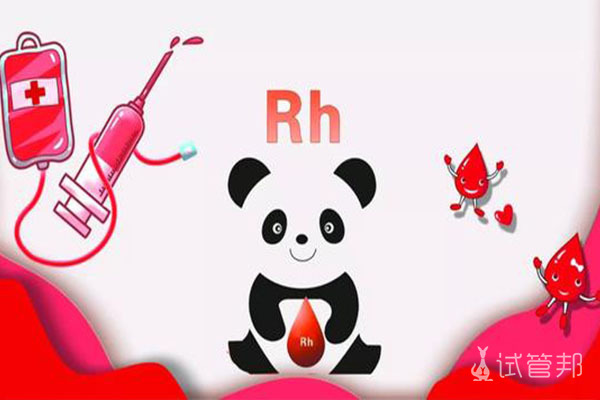rh阴性血熊猫血是什么血型有哪些缺点
