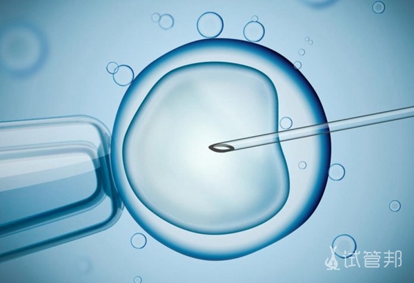 泰国LAVIDA乐樱生殖中心试管婴儿技术好的原因是什么