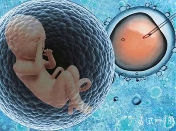 试管胚胎发育不好可以移植吗