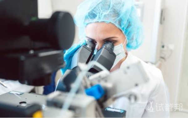 泰国拉玛九医院试管婴儿成功率高吗