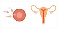 子宫内膜异位症影响怀孕吗？