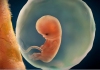 卵巢早衰能做试管婴儿吗？