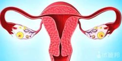 卵巢癌会自愈吗