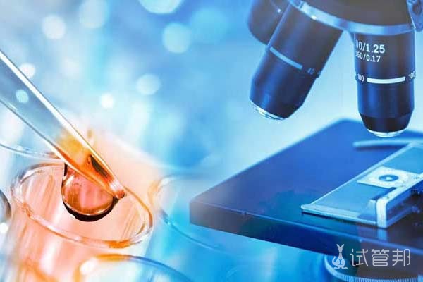 乌克兰人工授精价格多少钱