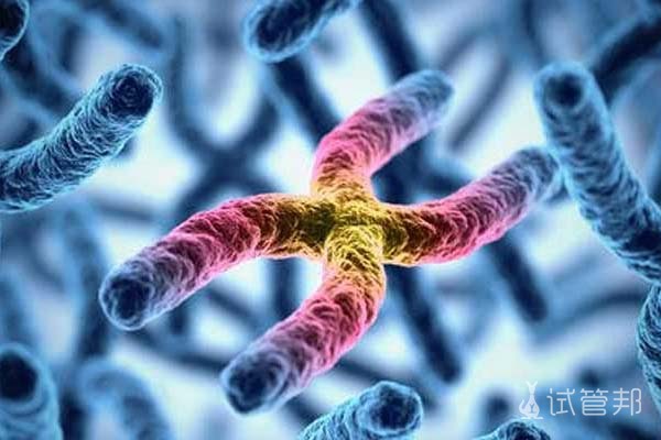 染色体1314罗氏易位是不是遗传