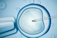 输卵管造影后能做试管婴儿吗