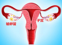 输卵管堵塞会癌变吗？