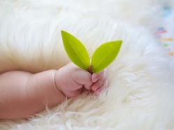 美国洛玛琳达生殖中心试管婴儿经历分享