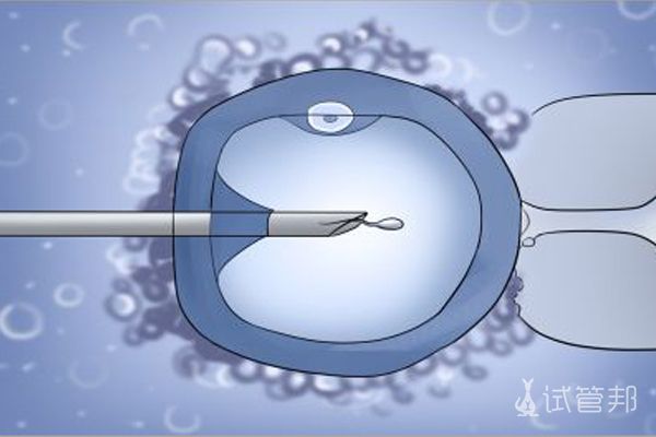 试管婴儿胚胎冷冻是什么