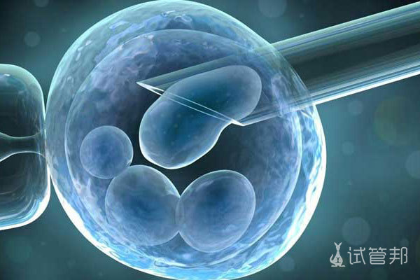 胚胎培养费和养囊费的区别