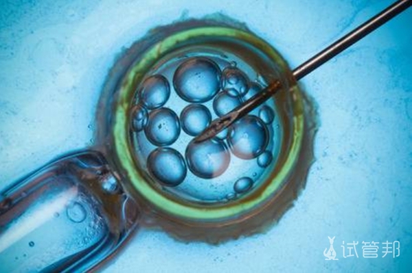 胚胎培养成囊胚为什么会失败