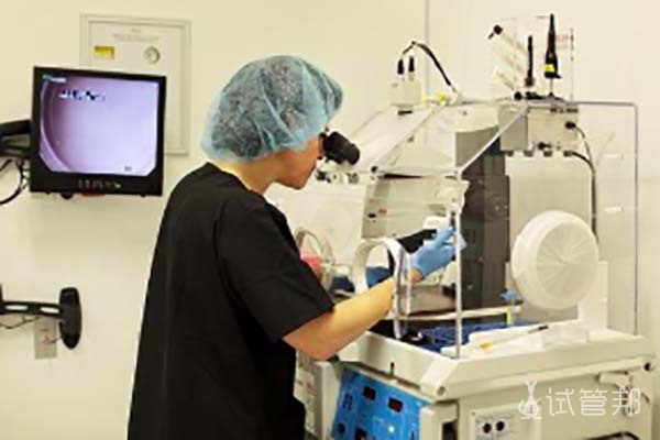 泰国LAVIDA乐樱生殖中心试管婴儿技术怎么样