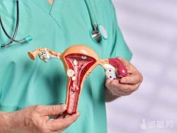 子宫肌瘤能做试管婴儿吗？