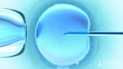 i Baby（爱宝贝）生殖基因中心做试管手续和周期的介绍