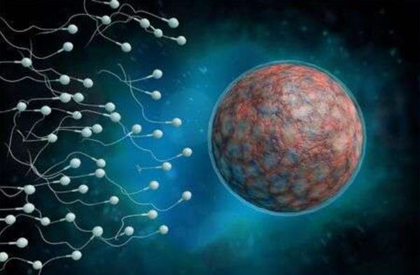 染色体异常表现有哪些