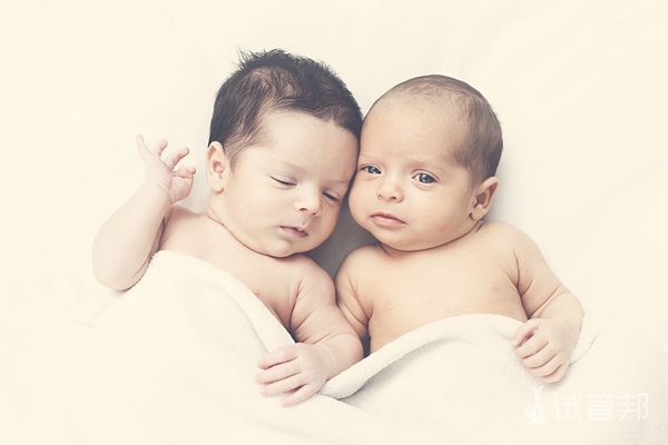 异卵双胞胎的几率有多大