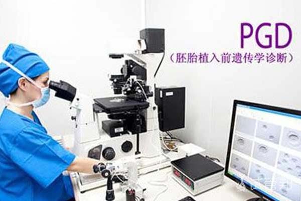 试管双胞胎和单胎有什么区别