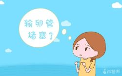 输卵管堵塞会排卵吗？