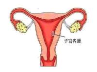 子宫内膜厚度薄影响月经吗？