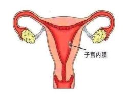 子宫内膜厚度多少来月经？
