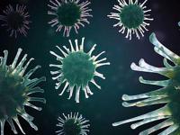 生殖器疱疹可以治好吗？