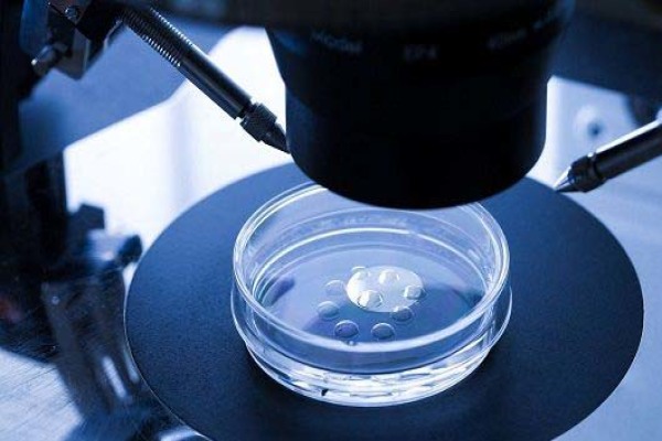 安徽代生子价格安徽网安徽医科大学在人类卵子冷冻保存技术研究取得新突破