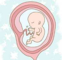 胎盘成熟度是怎么判断的？