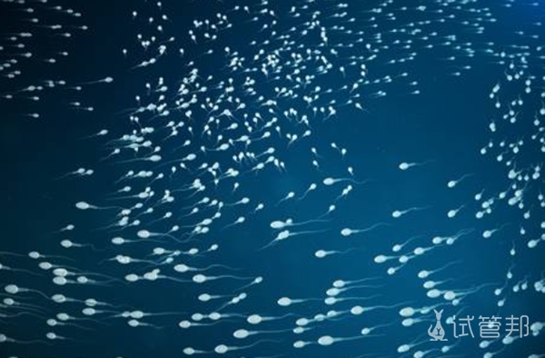 在北京做试管婴儿可以报销吗