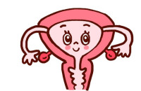 子宫内膜厚度受什么影响