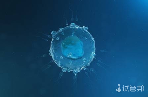 第一代试管婴儿大概需要多少钱