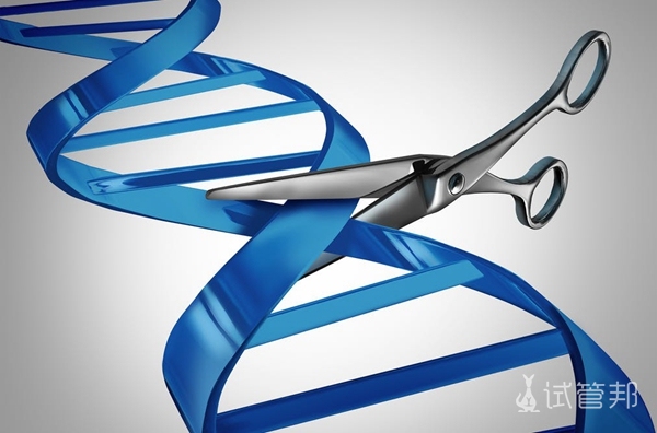 脆性x染色体综合症是单基因病吗