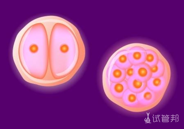 在北京协和医院做试管婴儿成功率高吗