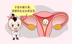 子宫内膜厚度薄影响怀孕吗?