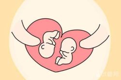 四川做试管婴儿可以做双胞胎吗？