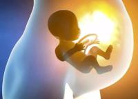 促黄体生成素高影响做试管婴儿吗？
