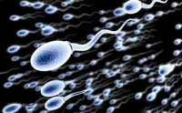 使用精子库的精子大概需要多少钱？