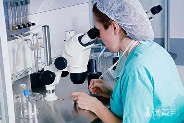 武汉试管婴儿成功率是多少