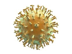 单纯疱疹病毒2型能治愈吗？