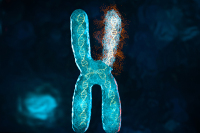 什么是染色体异常?