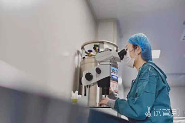 第二代试管婴儿技术究竟有没有危害呢