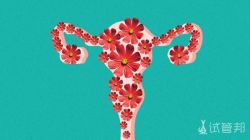 卵巢冠囊肿影响怀孕吗