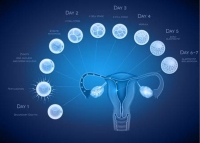 排卵试纸能测出怀孕吗？