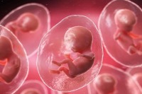 胚胎移植后多久着床?？