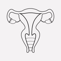 子宫内膜厚度偏薄有什么影响？