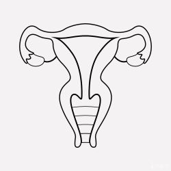 子宫内膜厚度偏薄有什么影响？