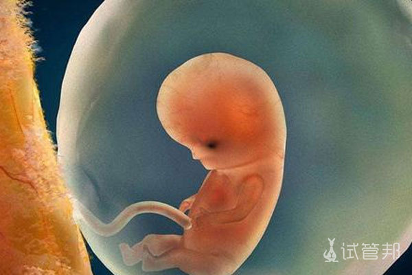 胚胎发育慢的孩子长大会有影响吗