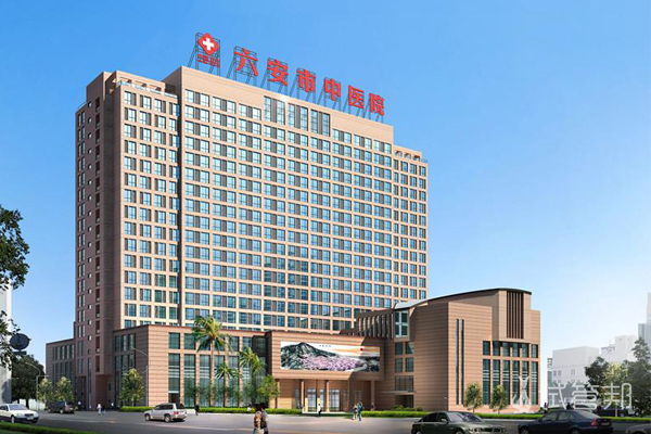 六安市中医院