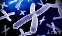 染色体异常是怎么回事？