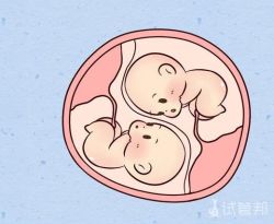 中信湘雅医院做试管双胞胎的费用大概多少？