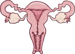 做输卵管造影有哪些注意事项？